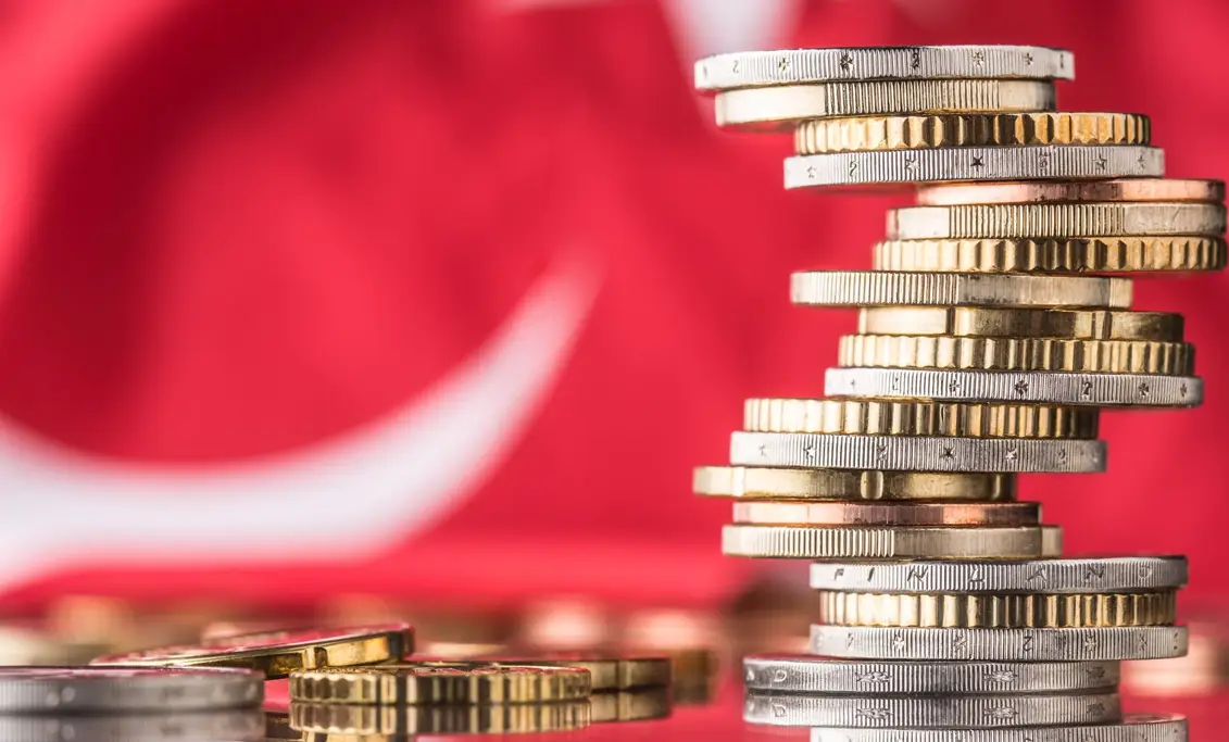 نسبة الفائدة في تركيا